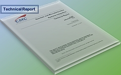 Technical Report: AMF Wafer-Level Metrology PH2302